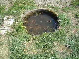 20090903_1492046.jpg