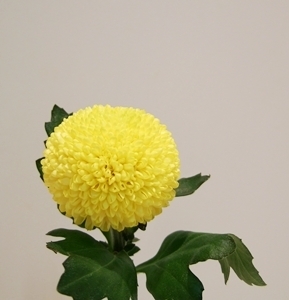 20121122174553868.jpg