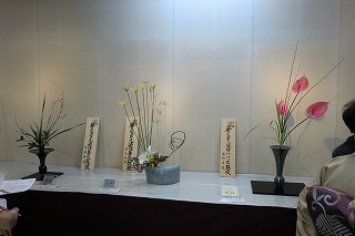 CIMG0251.jpg