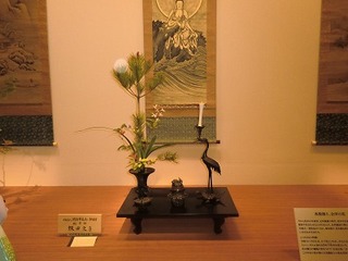 CIMG0463.jpg