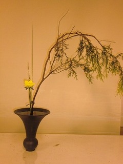 CIMG0488.jpg