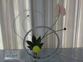 CIMG0670.jpg