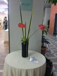 CIMG0676.jpg