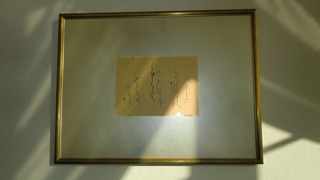 CIMG1168.jpg