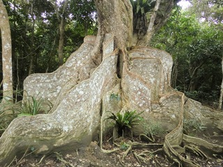 CIMG1345.jpg