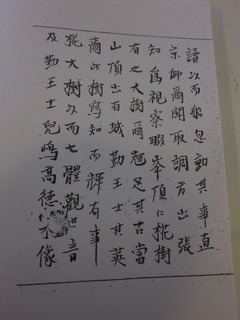CIMG1599.jpg