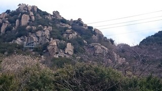 DSC_0021.jpg