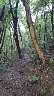 DSC_0058.jpg