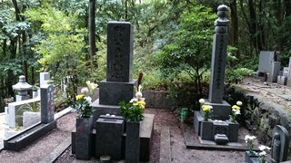 DSC_0066.jpg