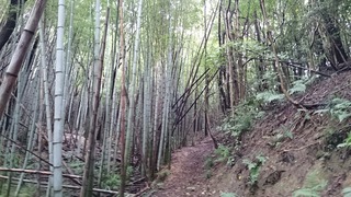 DSC_0072.jpg