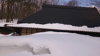 DSC_0101.jpg