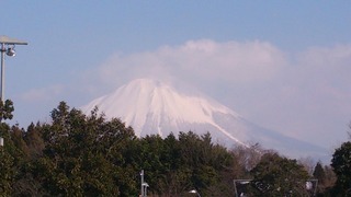 DSC_0102.jpg