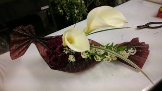 DSC_0112.jpg