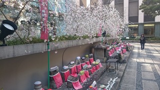 DSC_0125.jpg