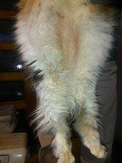 DSC_0151-thumbnail2.jpg