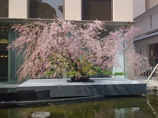 DSC_0267.jpg