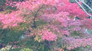 DSC_0283.jpg