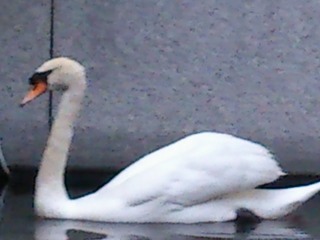 DSC_0314.jpg
