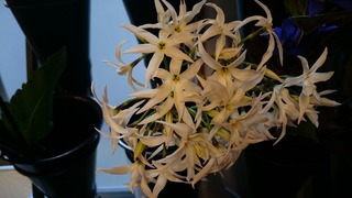 DSC_0325.jpg