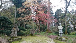 DSC_0350.jpg