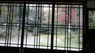 DSC_0354.jpg