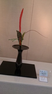 DSC_0379.jpg