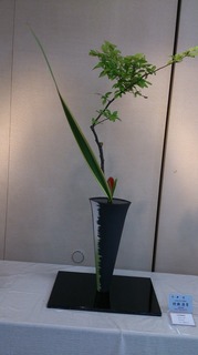 DSC_0384.jpg
