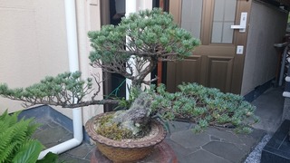 DSC_0434.jpg