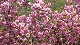DSC_0482.jpg