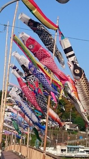 DSC_0494.jpg