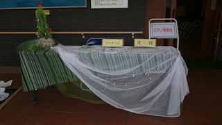 DSC_0535.jpg