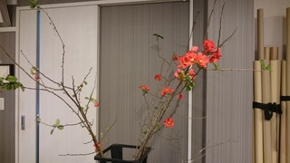 DSC_0640.jpg