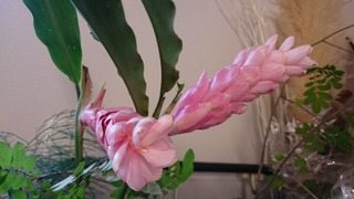 DSC_0868.jpg