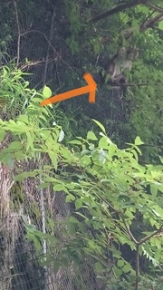 DSC_0967.jpg