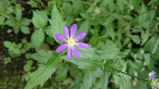 DSC_0982.jpg
