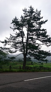 DSC_1019.jpg