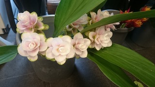 DSC_1107.jpg