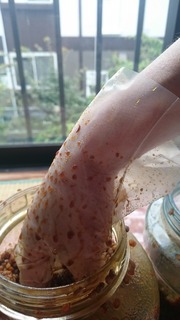 DSC_1119.jpg
