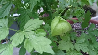 DSC_1275.jpg