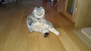 DSC_1365.jpg