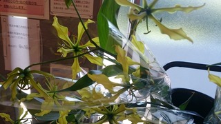 DSC_1506.jpg
