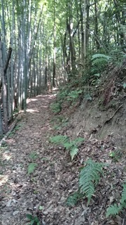 DSC_1551.jpg