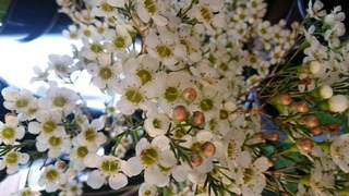 DSC_1573.jpg