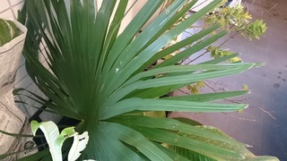 DSC_1584.jpg