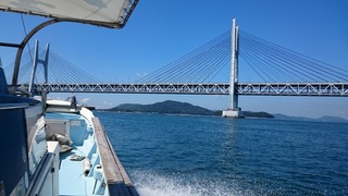 DSC_1637.jpg