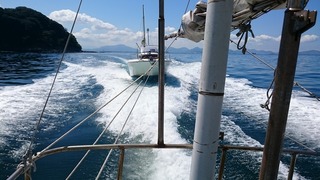 DSC_1648.jpg