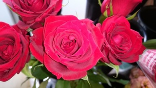 DSC_1713.jpg