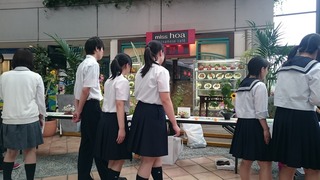 DSC_1756.jpg