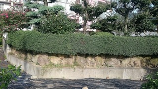 DSC_1804.jpg