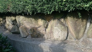 DSC_1804 - コピー.jpg
